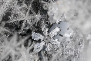 snow, Snowflakes, Monochrome