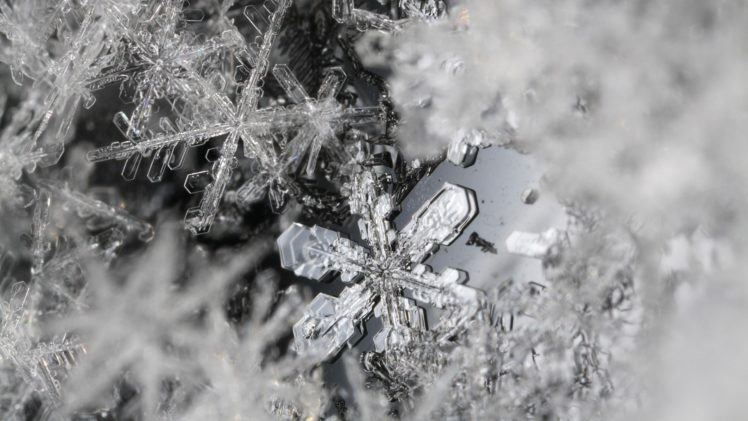 snow, Snowflakes, Monochrome HD Wallpaper Desktop Background