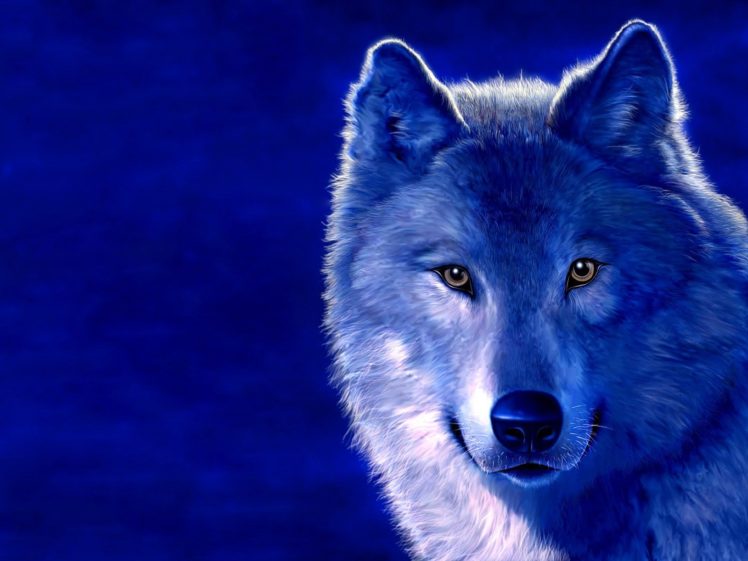 blue, Animals, Digital, Art, Wolves HD Wallpaper Desktop Background