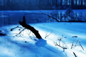 monochrome, Snow, Landscapes, Rivers, Branches