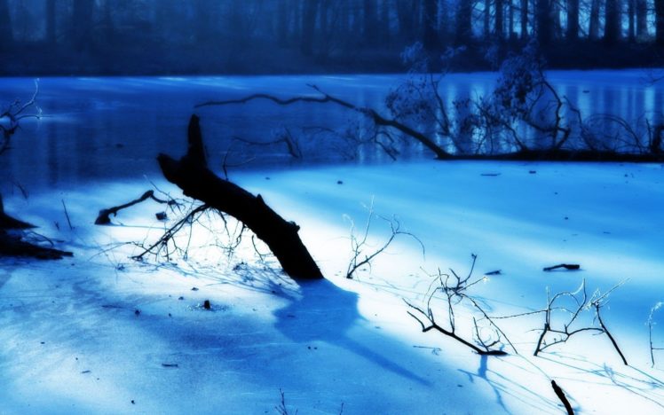 monochrome, Snow, Landscapes, Rivers, Branches HD Wallpaper Desktop Background