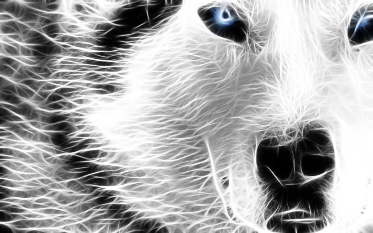 wolves HD Wallpaper Desktop Background