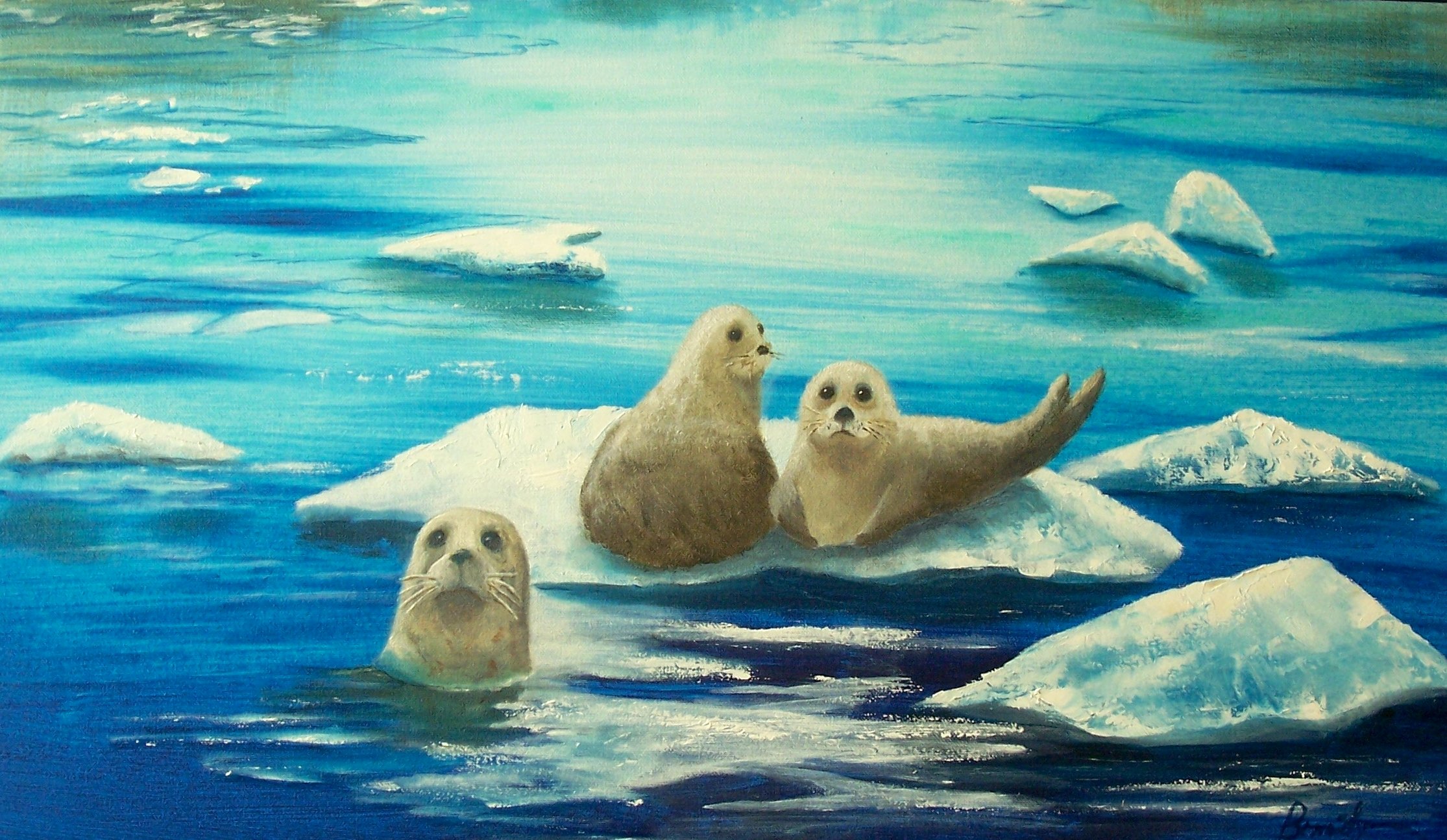 sea, Lions, Seal, Seals, Lion,  40 Wallpaper