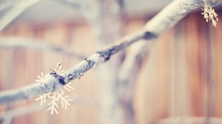 nature, Snowflakes, Macro, Dreamy, Depth, Of, Field, Blurred, Branches HD Wallpaper Desktop Background