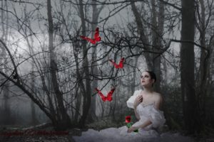 fantasy, Art, Cg, Digital, Manip, Butterfly, Mood, Gothic, Gown, Emotion, Women, Models, Pale, Face, Brunettes, Nature, Landscapes, Trees, Forest, Woods, Night, Fog, Moonlight, Moon