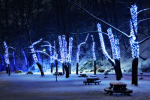 lights, Trees, Park, Bench, Picnic, Tables, Winter, Snow, Night