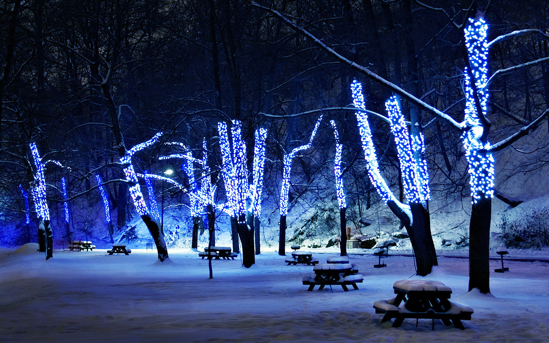 lights, Trees, Park, Bench, Picnic, Tables, Winter, Snow, Night Wallpaper