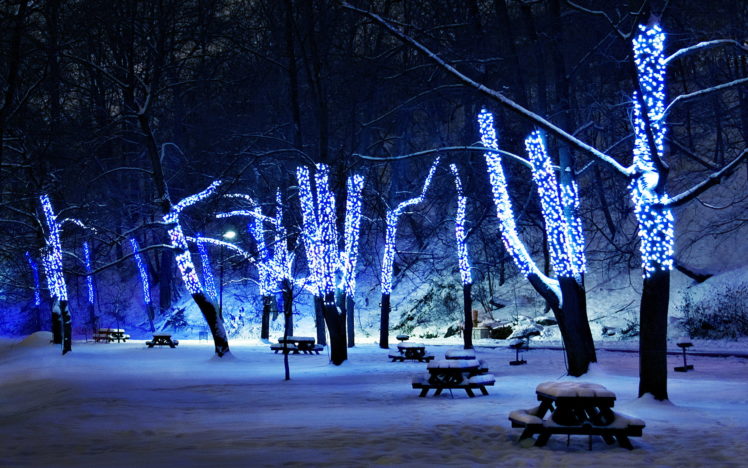 lights, Trees, Park, Bench, Picnic, Tables, Winter, Snow, Night HD Wallpaper Desktop Background