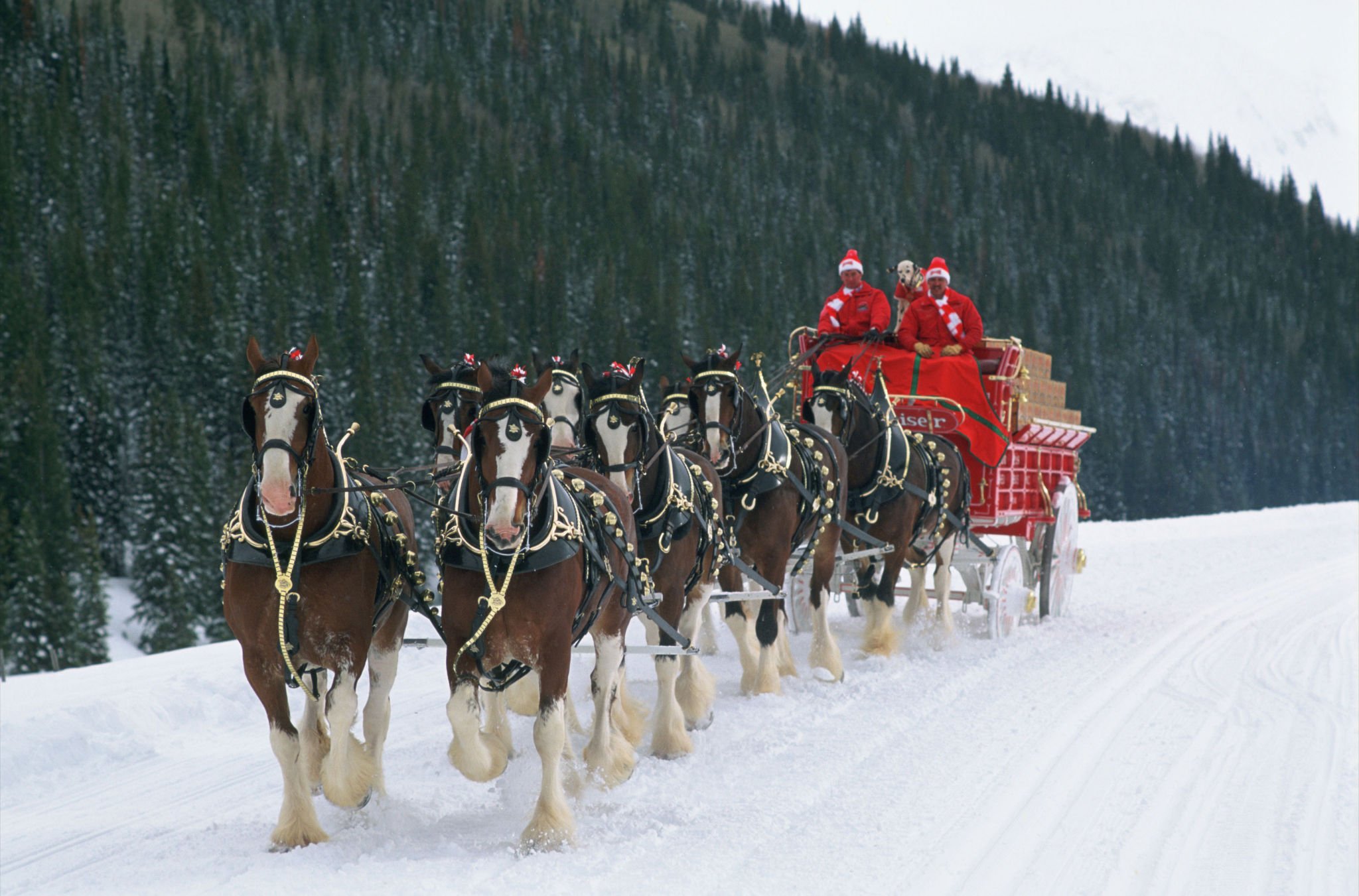 beer, Alcohol, Drink, Poster, Winter, Christmas, Horse, Horses Wallpaper