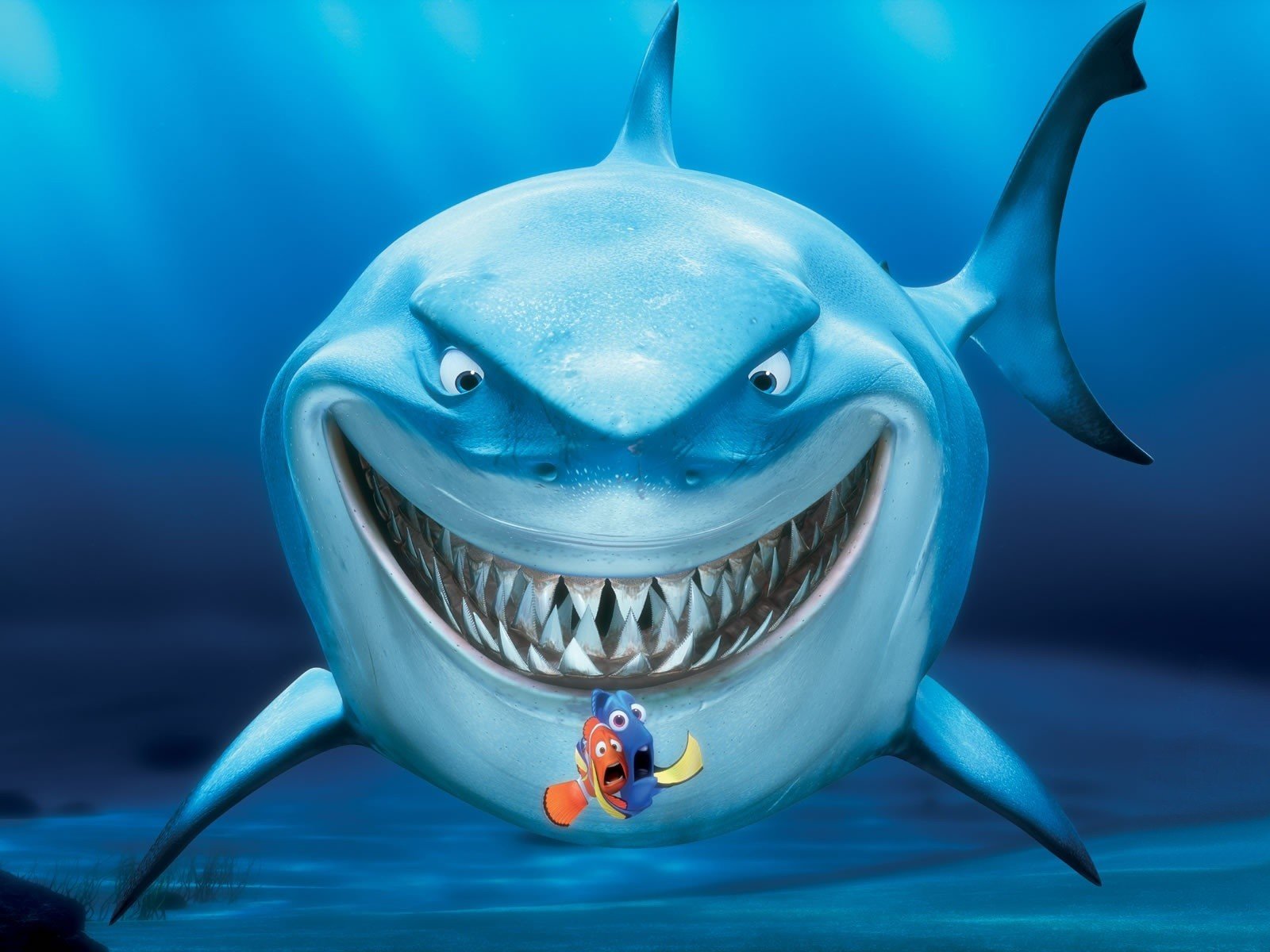 finding, Nemo, Sharks Wallpaper