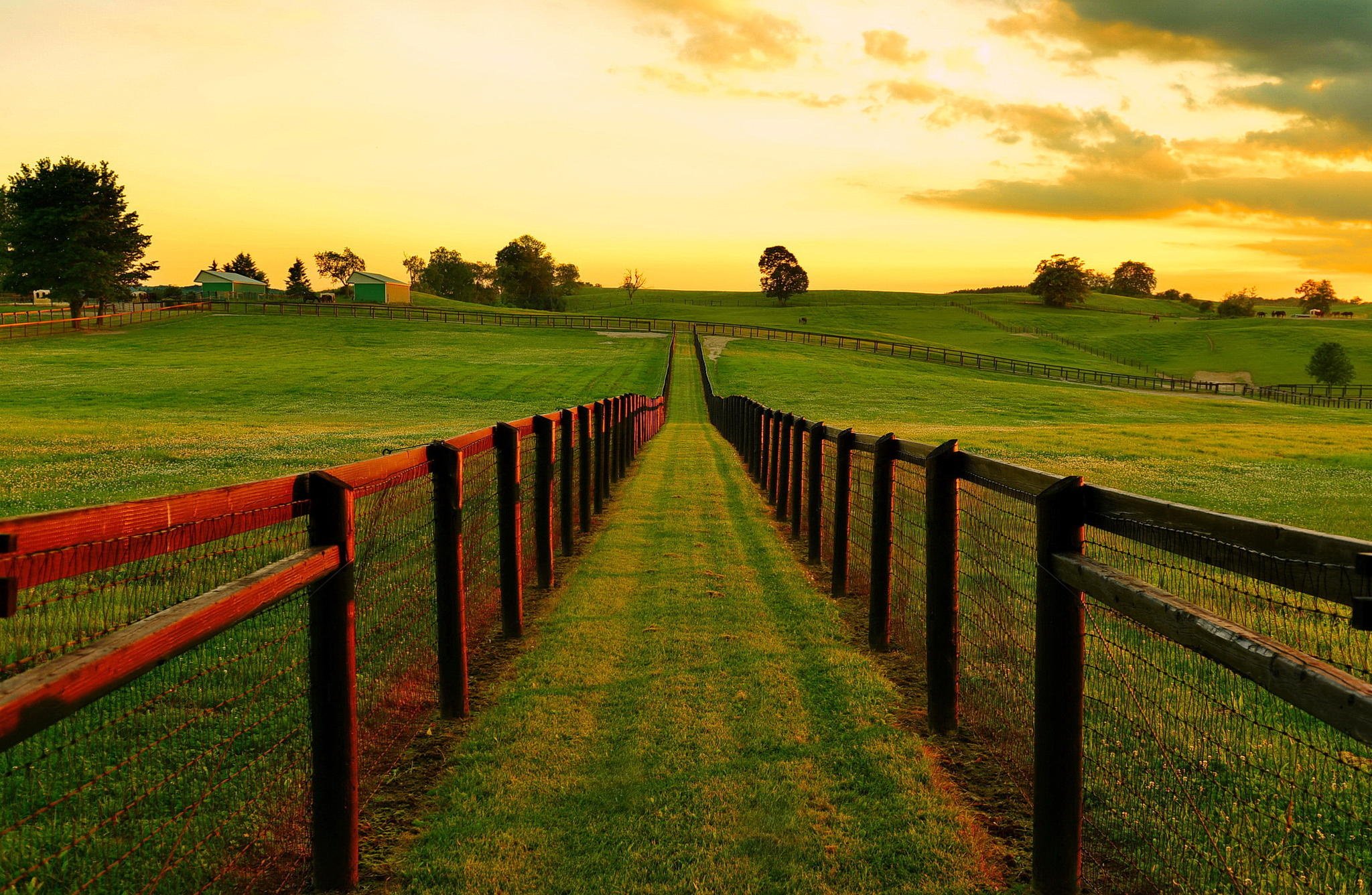 landscape, Nature, Sunset, Field, Grass, Ontario, Canada Wallpaper