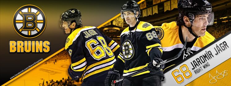 boston, Bruins, Nhl, Hockey,  17 HD Wallpaper Desktop Background