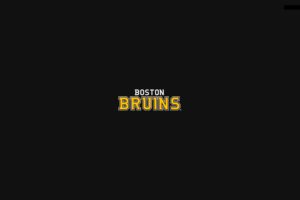 boston, Bruins, Nhl, Hockey,  1