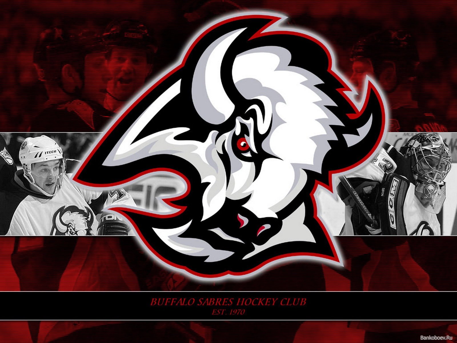 buffalo, Sabres, Nhl, Hockey,  67 Wallpaper