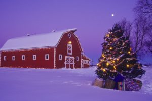 canada, Christmas, Barn