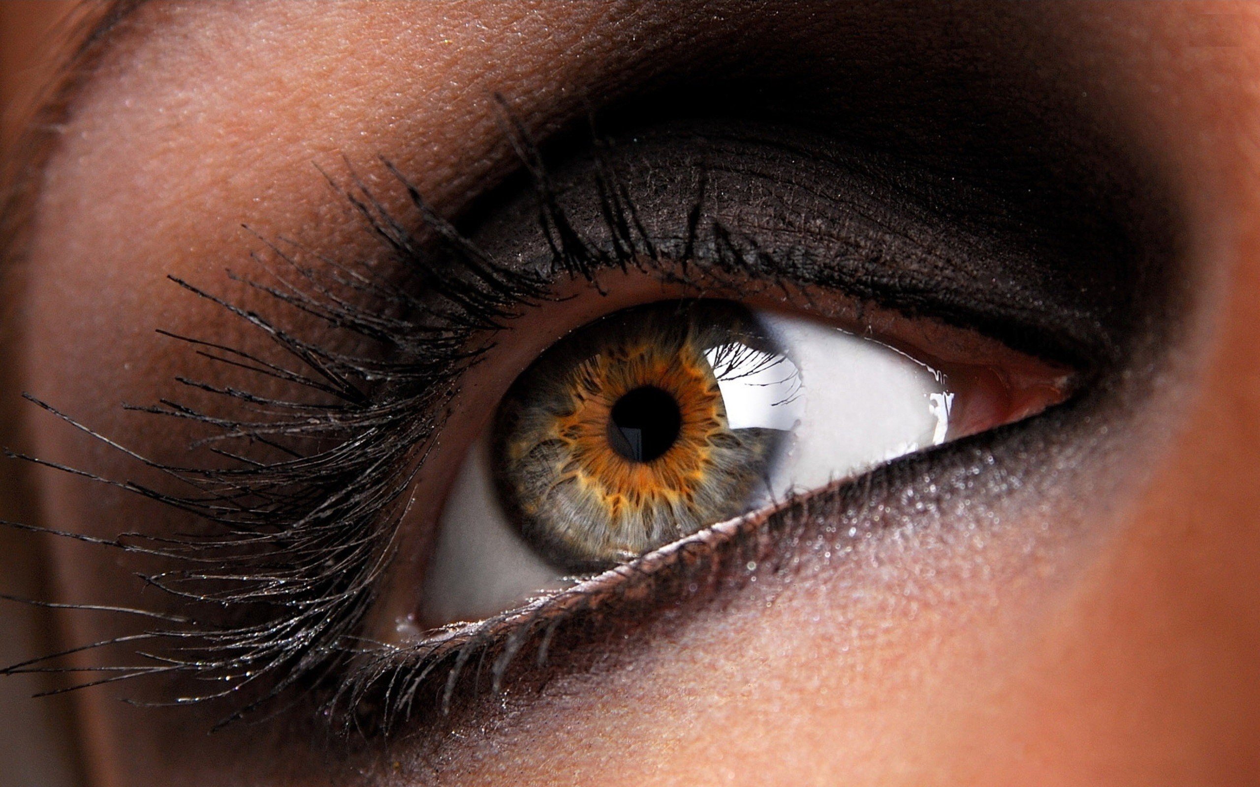 close up, Brown, Eyes, Macro, Eye Wallpaper