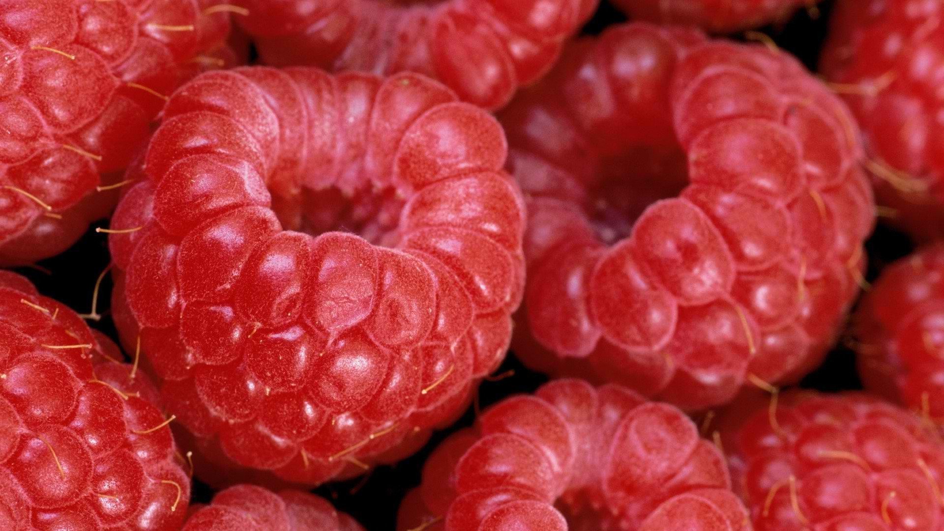 red, Fruits, Desserts, Raspberries Wallpaper