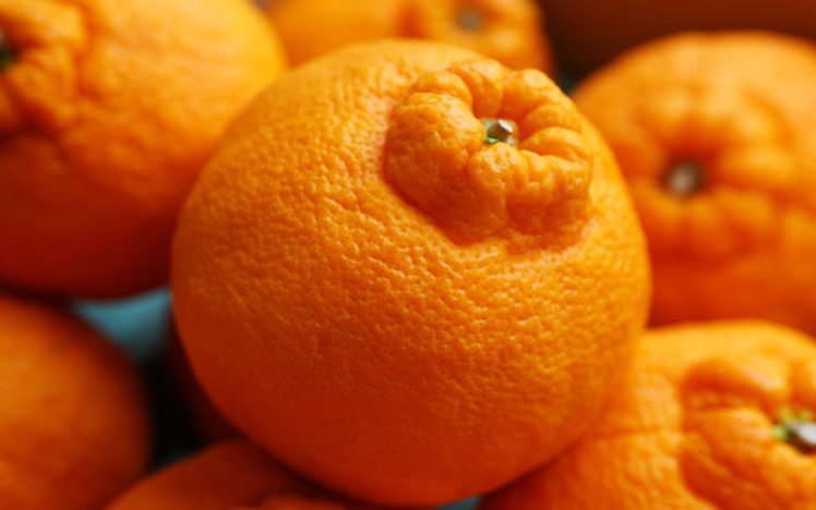 fruits, Oranges HD Wallpaper Desktop Background