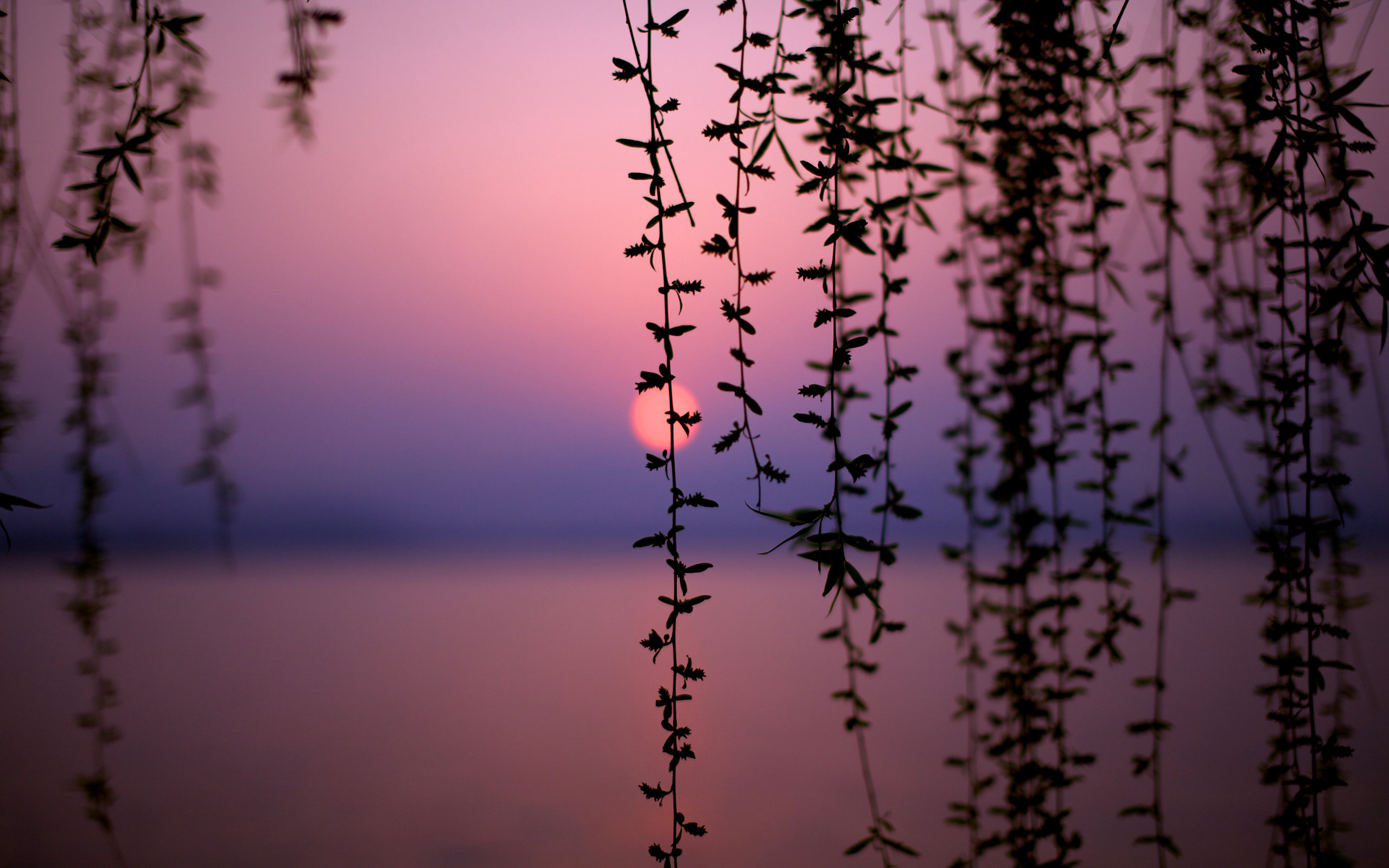 west, Lake, At, Sunset Wallpaper