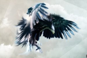 birds, Eagles, Digital, Art
