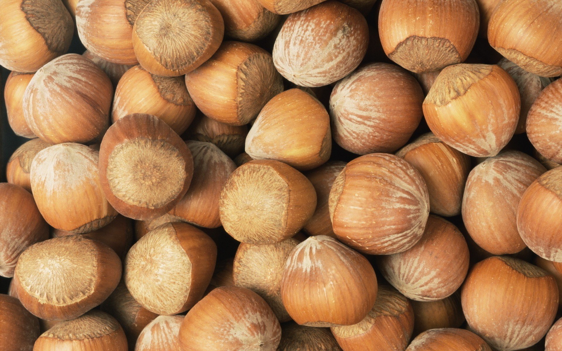 nuts Wallpapers HD / Desktop and Mobile Backgrounds