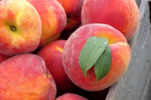 fruits, Peaches