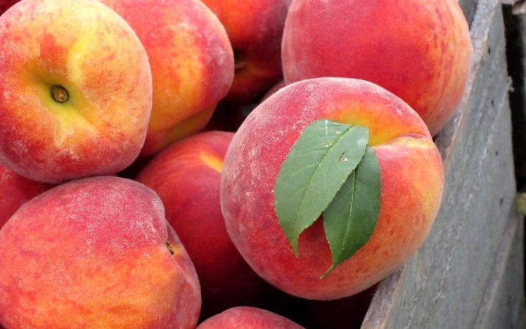 fruits, Peaches HD Wallpaper Desktop Background