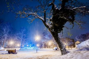 park, Bench, Winter, Snow, Lamp, Light, Post, Trees, Sky