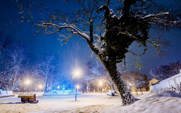 park, Bench, Winter, Snow, Lamp, Light, Post, Trees, Sky HD Wallpaper Desktop Background