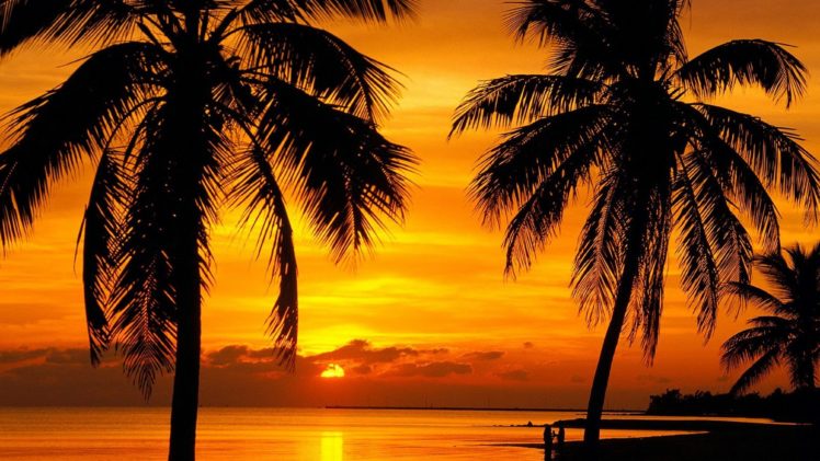 florida key, Sunset, Beach, 4000×2250 HD Wallpaper Desktop Background