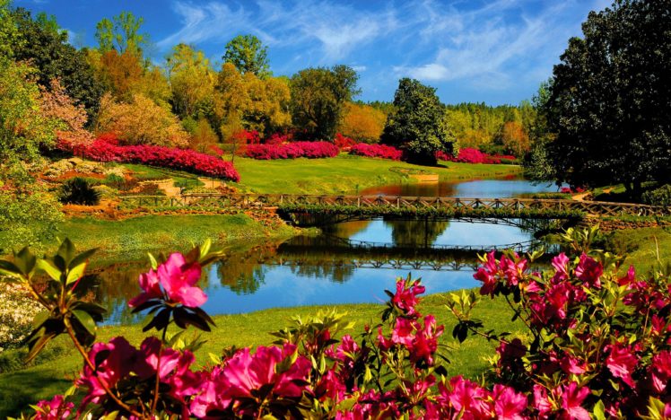 flower, Lake, Landscape, 4000×2500 HD Wallpaper Desktop Background