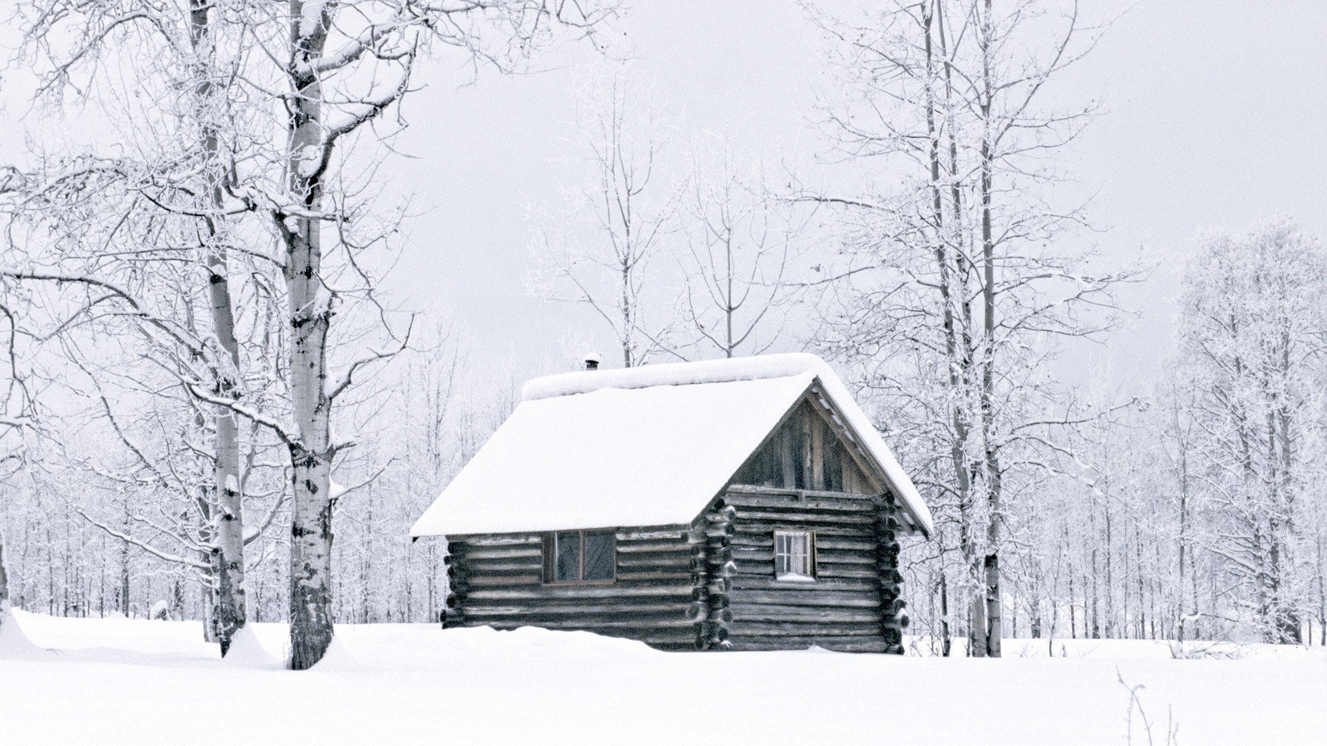 winter, Snow, Woods, British, Columbia, Cabin, Logs Wallpaper