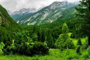 bovec, Mountains, Switzerland, Greens, Forest