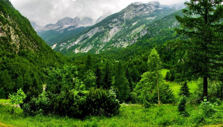 bovec, Mountains, Switzerland, Greens, Forest HD Wallpaper Desktop Background