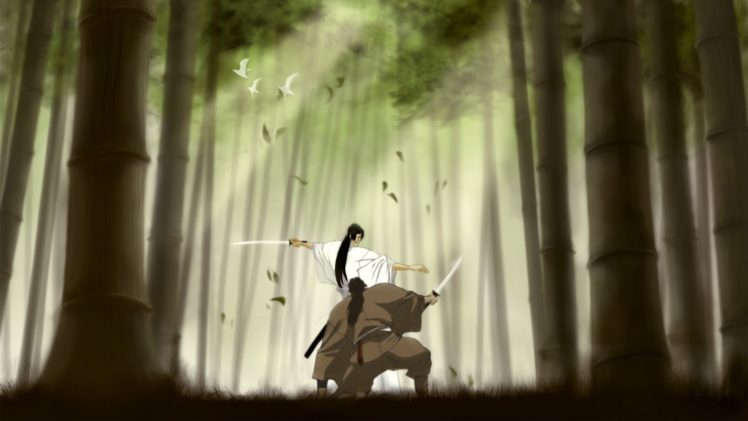 trees, Forest, Birds, Fighter, Grass, Bamboo, Samurai, Long, Hair, Duel, Kimono, Anime, Sunbeams, Swords, Warriors HD Wallpaper Desktop Background