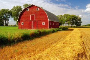 barn, Rustic, Farm, Landscapes, Fields, Crop, Grass, Sky, Clouds
