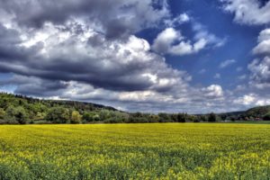 fields, Sky, Scenery, Clouds, Hdr, Nature