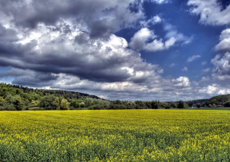 fields, Sky, Scenery, Clouds, Hdr, Nature HD Wallpaper Desktop Background