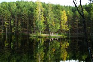 lake, Russia, Forests, Trees