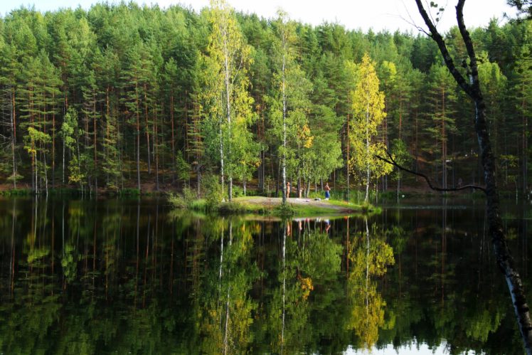 lake, Russia, Forests, Trees HD Wallpaper Desktop Background