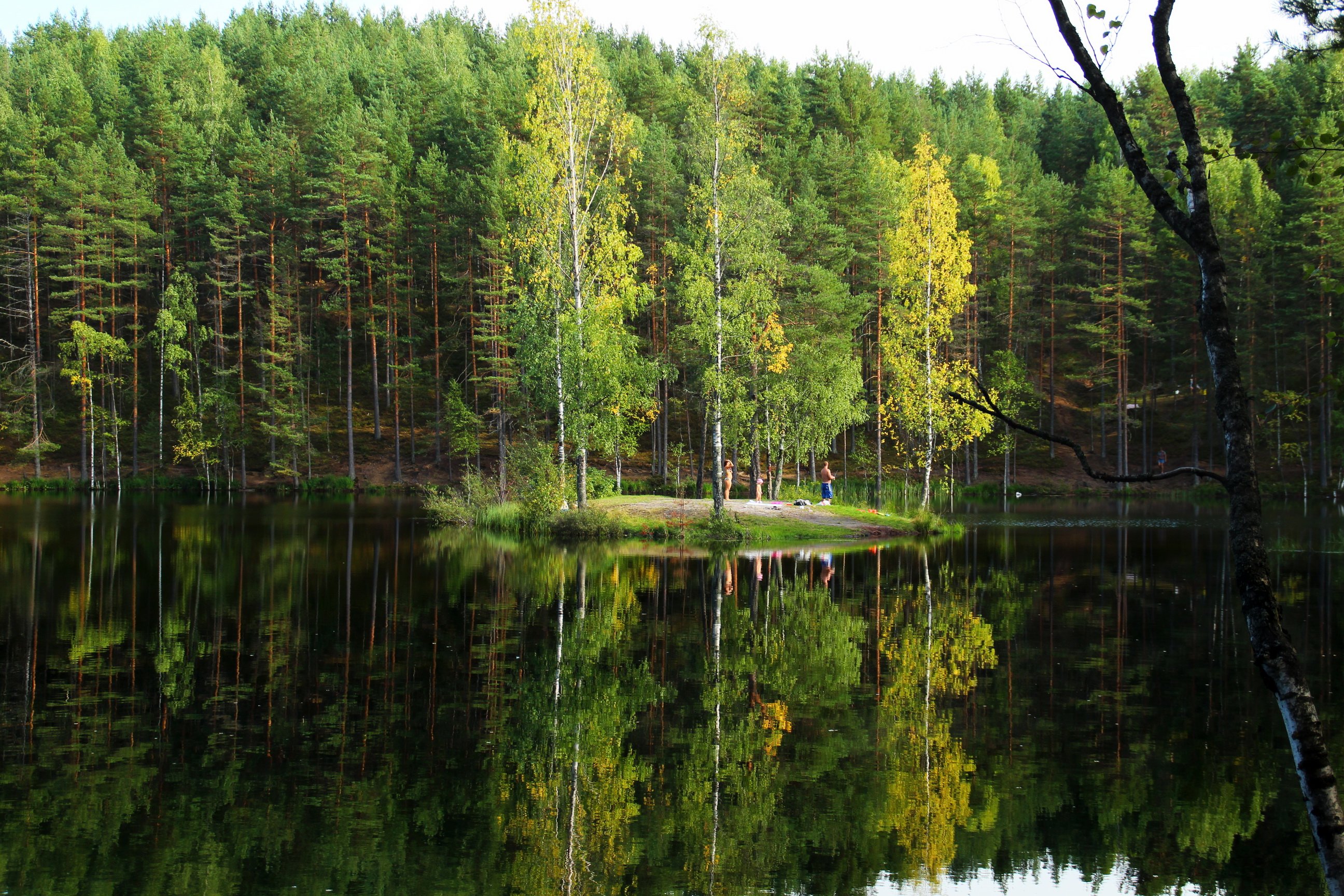 lake, Russia, Forests, Trees Wallpaper