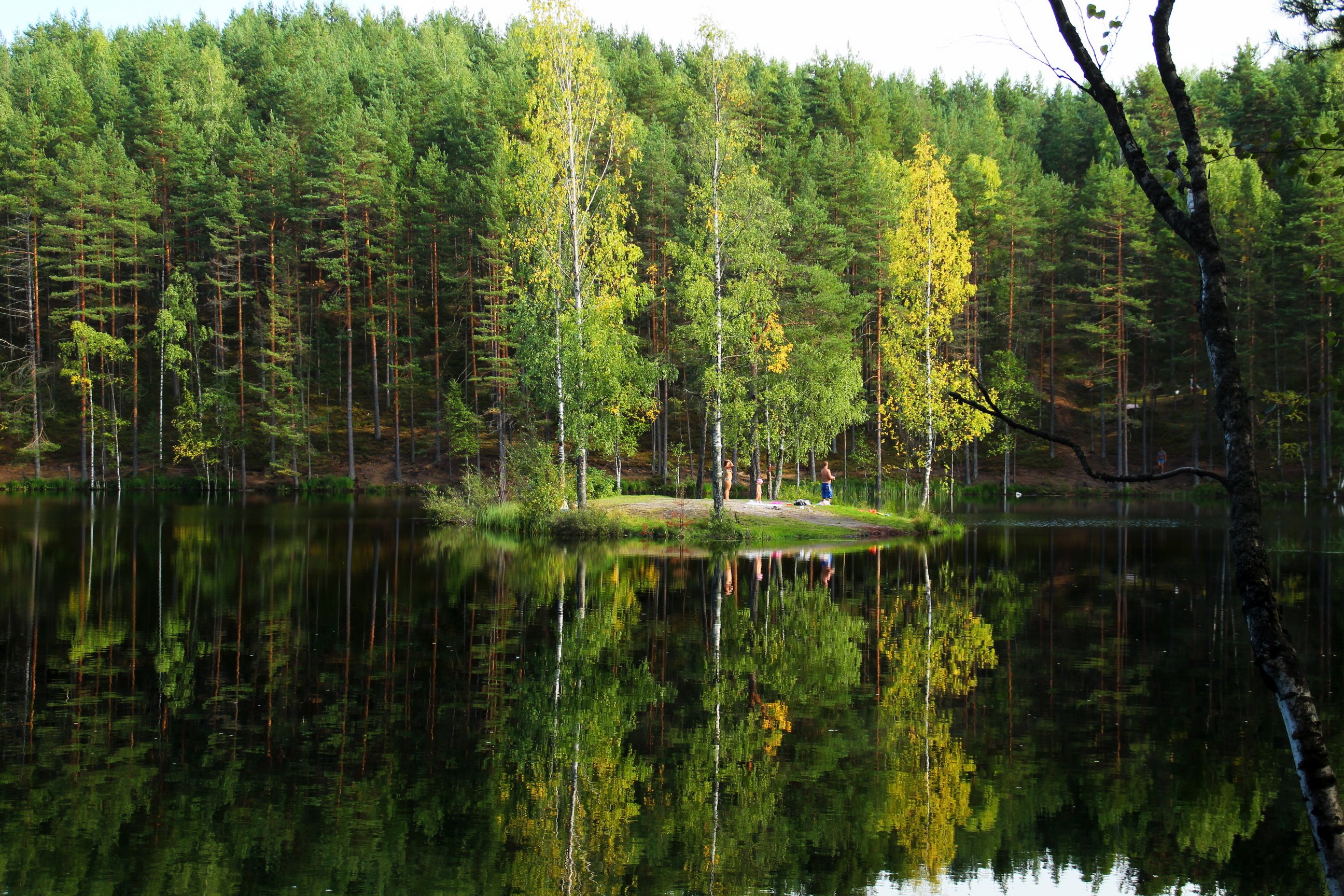  lake, Russia, Forests, Trees Wallpapers HD / Desktop and Mobile Backgrounds