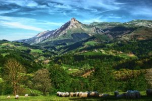 spain, Mountains, Scenery, Goierri, Nature, Sheep