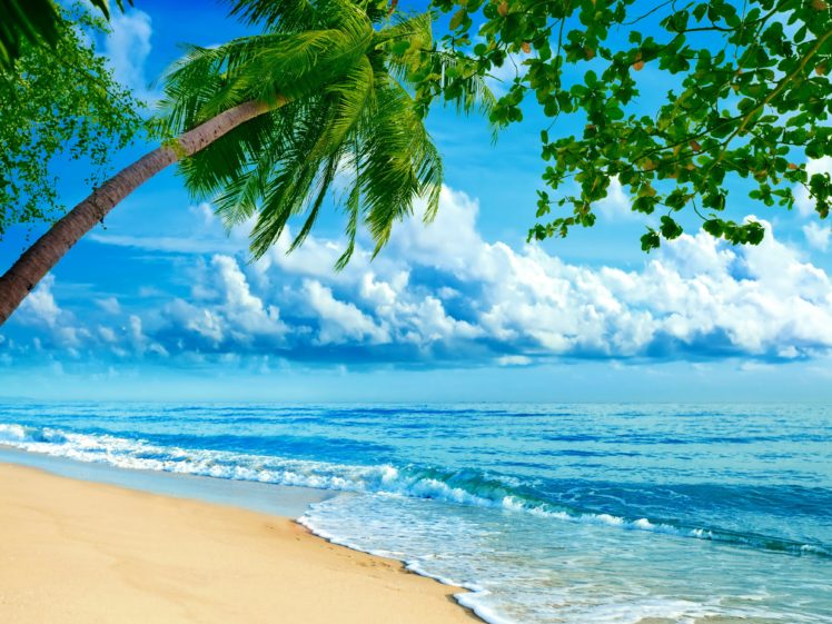 tropics, Coast, Sea, Palma, Clouds, Nature HD Wallpaper Desktop Background