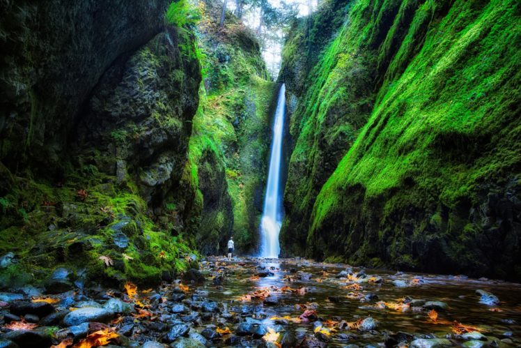 usa, Waterfalls, Oneonta, Falls, Oregon, Moss, Crag, Nature, Autumn HD Wallpaper Desktop Background