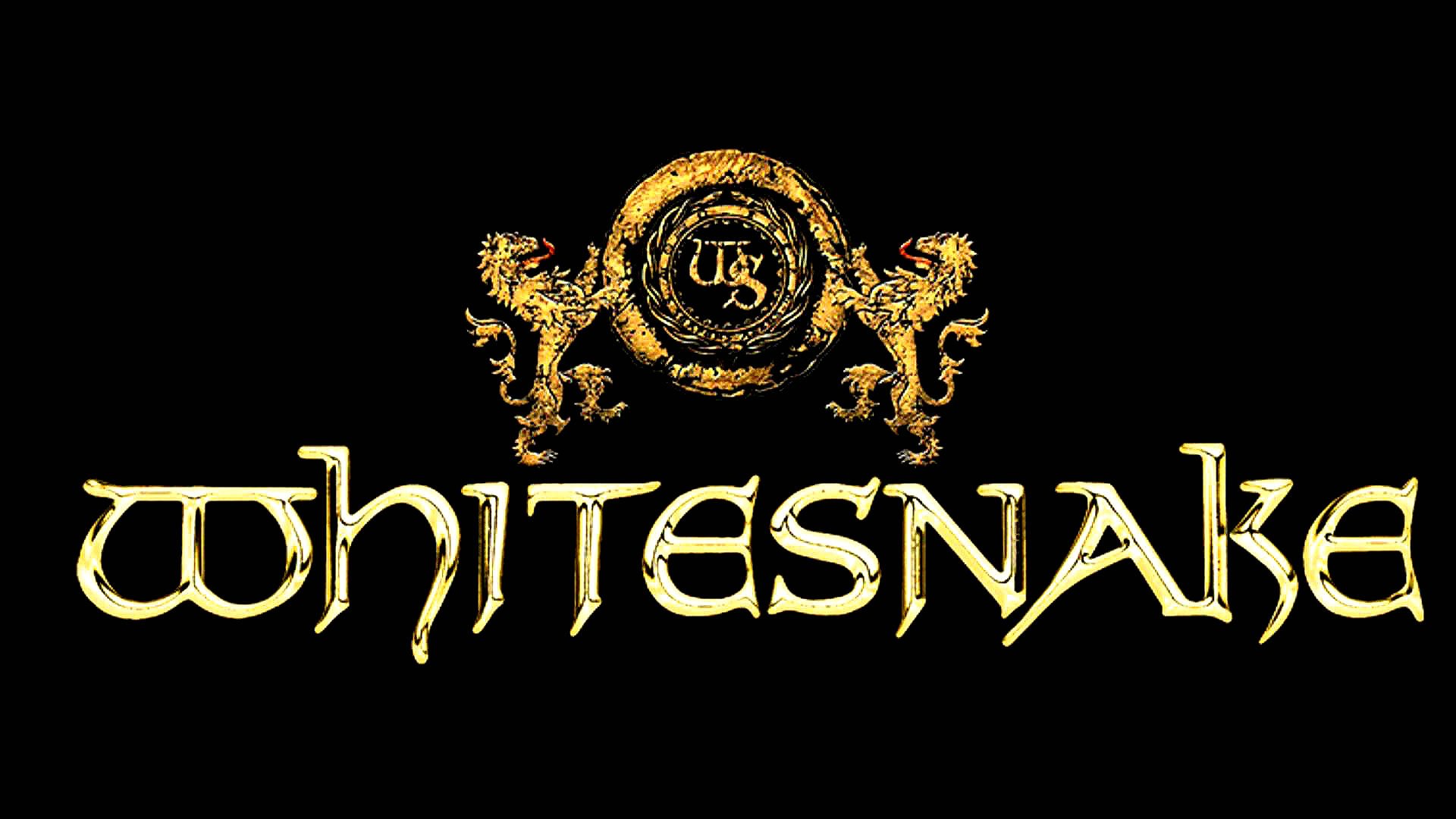 whitesnake, Hair, Metal, Heavy, Hard, Rock, Poster Wallpaper
