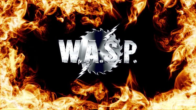 wasp, Heavy, Metal,  26 HD Wallpaper Desktop Background