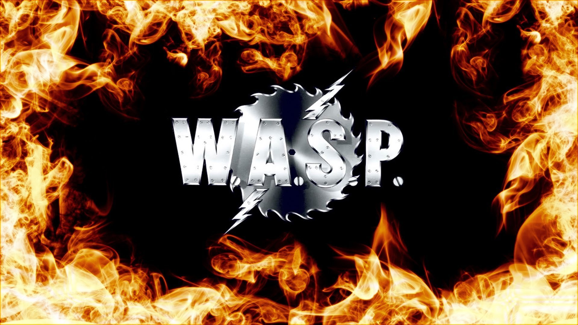 wasp, Heavy, Metal,  26 Wallpaper