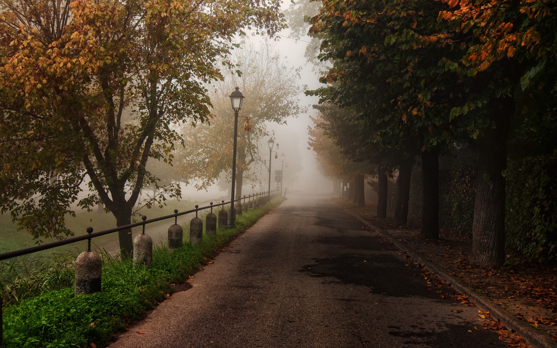 trees, Park, Trail, Path, Fog, Autumn, Fall, Leaves, Landscapes Wallpaper