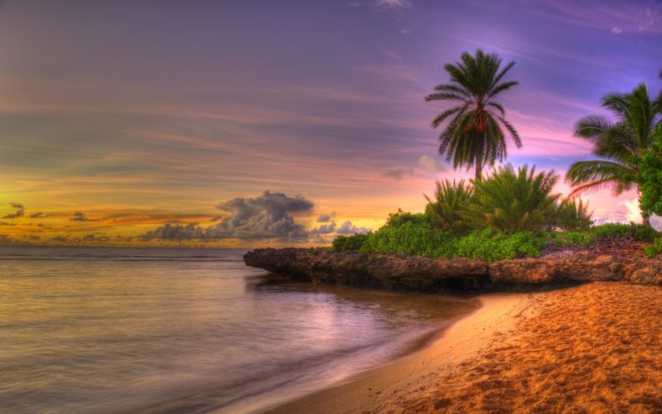 palms, Beach, Corner HD Wallpaper Desktop Background